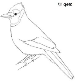 image-5epoch.png|center|100