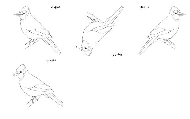 image_vertical.png|center|100