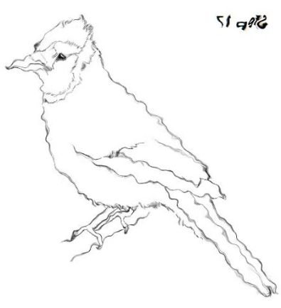 image-distortion.png|center|100